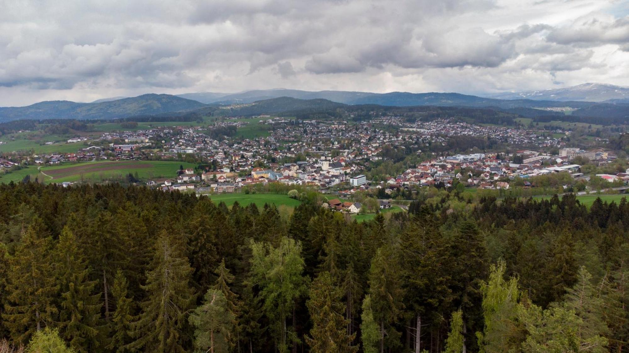 Bayerwaldchalet Regen Exteriör bild